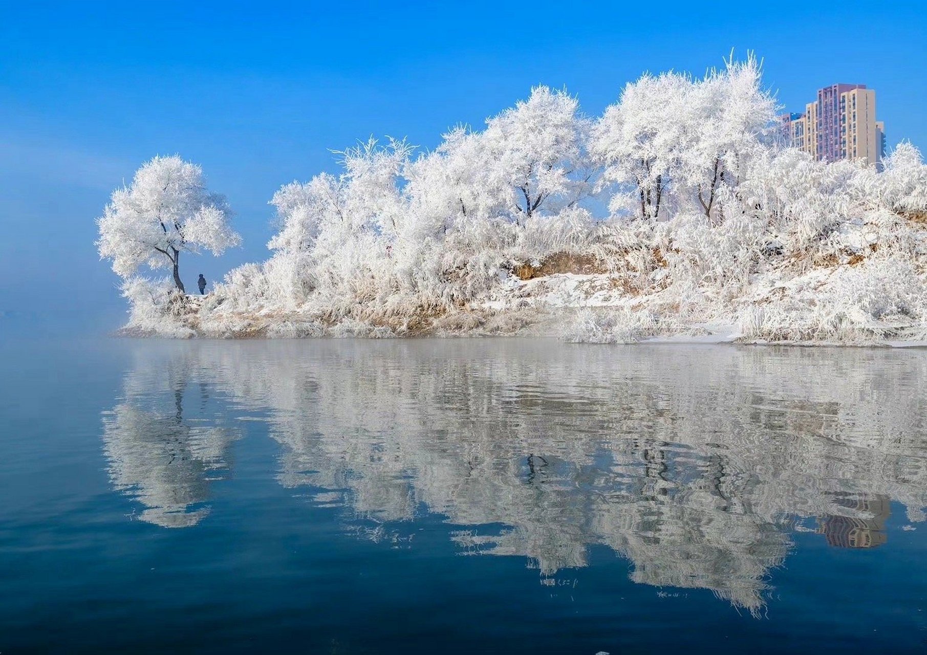 吉林,东北明珠,历史与现代的交响乐章